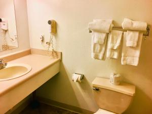 a bathroom with a sink and a toilet and towels at North Country American Inn in Kalkaska +42 photos