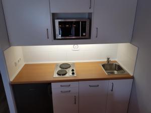 Kuchyň nebo kuchyňský kout v ubytování Family Appartment