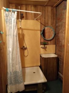 a bathroom with a shower and a sink and a mirror at Jõeniidu Holiday House in Trolla