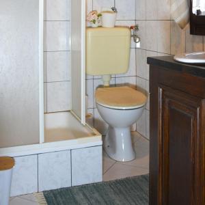 a bathroom with a toilet and a shower and a sink at Vinum Vidae in Lendava