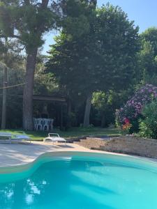 a swimming pool in a yard with a table and chairs at Il Lauro in San Costanzo