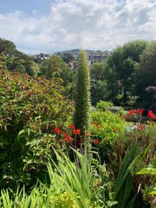 a garden with flowers and a tree in the middle at Epchris House in Ilfracombe