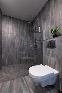 a bathroom with a toilet and a shower at Central Lootsi Penthouse in Tallinn