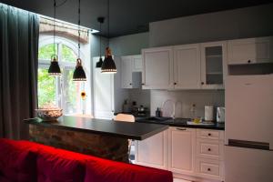 Kuchyňa alebo kuchynka v ubytovaní Tukej apartament na Nikiszu