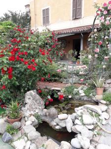 un jardin avec des fleurs rouges et un étang dans l'établissement villart, à Carbonara Scrivia