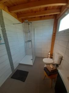 La salle de bains est pourvue d'une douche et de toilettes. dans l'établissement Les Hirondelles, à La Garde