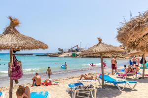 A beach at or near the holiday home