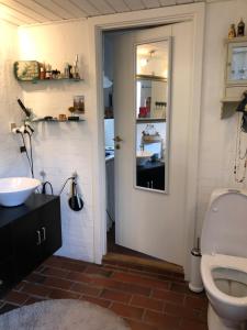 łazienka z toaletą i umywalką w obiekcie Jette’s værelsesudlejning w mieście Rudkøbing