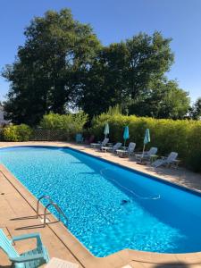 - une piscine avec des chaises longues et des parasols dans l'établissement Logis Hôtel-Restaurant Le Commerce, à Rieupeyroux