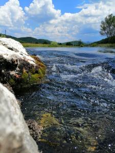 Gallery image of Apartmani Sara i Marta in Otočac