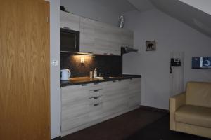 Kuchyň nebo kuchyňský kout v ubytování Resident Harrachov - Apartmá B304