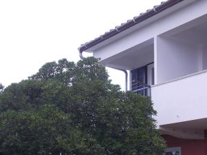ein Baum neben einem weißen Gebäude mit Fenster in der Unterkunft Apartment Oreskovic in Krk