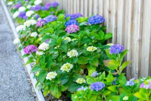 Φωτογραφία από το άλμπουμ του La Frégate στο Cap-Ferret