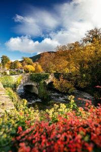 a bridge over a river in a field with flowers at Garden Double Room with own door access and bathroom in Rostrevor