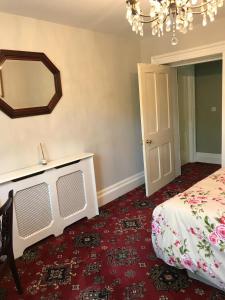 a bedroom with a bed and a mirror on the wall at Garden Double Room with own door access and bathroom in Rostrevor