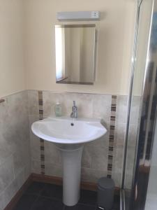 a bathroom with a white sink and a mirror at The Willows in Dalchreichart +14 photos