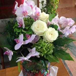 Fotografie z fotogalerie ubytování Hotel Casablanca v destinaci Lazise + 16 fotografií