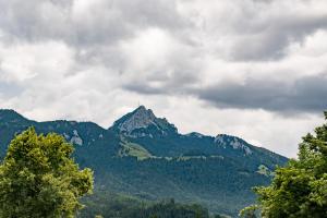 una montaña en la distancia con árboles en el primer plano en GM-Stays Wendelstein Lodge, en Fischbachau 117 fotos más
