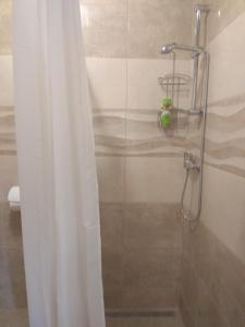 a shower with a white shower curtain in a bathroom at Apartmani Alma in Skradin