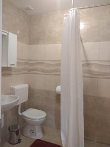 a bathroom with a toilet and a shower curtain at Apartmani Alma in Skradin