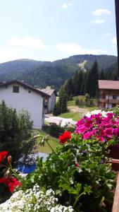 Widok na góry z tego apartamentu