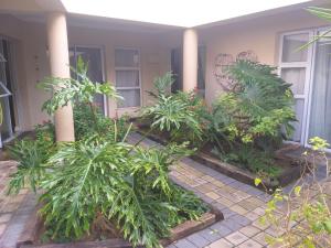 伊丽莎白港VillaVin at 47 Galpin的相册照片