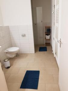 a bathroom with a toilet and two blue rugs at Wiesenblume in Schönau im Schwarzwald