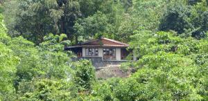 a small house in the middle of a forest at Singharaja Garden AGRO ECO Lodge in Pelawatta