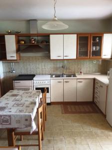 Kuchyň nebo kuchyňský kout v ubytování Apartments Davorka