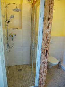 ein Bad mit einer Dusche und einem WC in der Unterkunft Landhaus-Püttmann in Fröndenberg