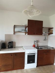 Kuchyň nebo kuchyňský kout v ubytování Apartments Davorka