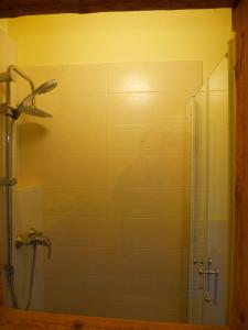 a shower in a bathroom with a glass door at Landhaus-Püttmann in Fröndenberg