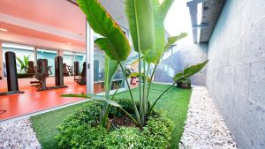 Hotel Nayra - Adults Only