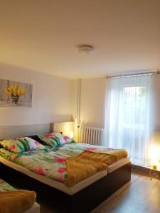 1 dormitorio con 1 cama grande y ventana en noclegi Julia en Kielce