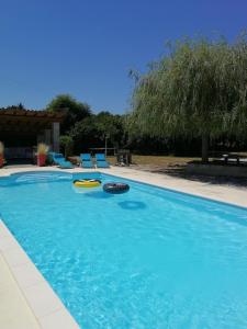 une grande piscine avec un frisbee dans l'établissement Gite - Le chemin blanc, à Saint-Sornin