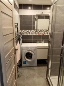 een badkamer met een wasmachine en een wastafel bij apartmán Aneta in Karlsbad