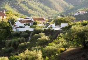 a group of houses on a hill with trees at Casa Junius in Arenas