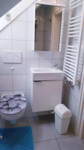 Kupaonica u objektu APARTMA SVETINA