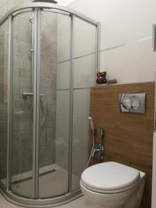 a bathroom with a glass shower with a toilet at Visit Debrecen Apartman in Debrecen +73 photos