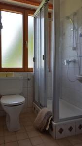 a bathroom with a shower and a toilet and a tub at Gästehaus Pehab in Gröbming