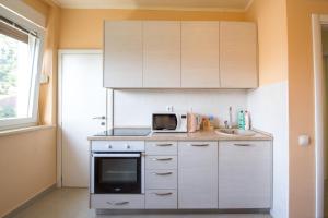 Kuhinja ili čajna kuhinja u objektu Apartman Kotor