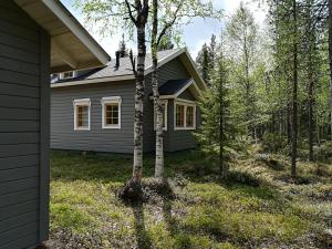 a house with a tree in front of it at Räkkipirtti in Luosto