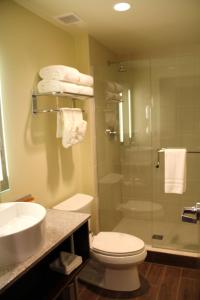 a bathroom with a shower and a toilet and a sink at Northern Hotel in Billings