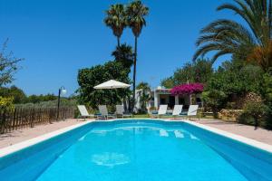 - une piscine avec des chaises, un parasol et des palmiers dans l'établissement Villa Benirrás, à Sant Miquel de Balansat