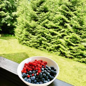 Vonkajšia záhrada v ubytovaní Mountain Cottage Lubomierz
