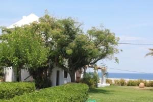 une maison blanche avec des arbres en face de l'océan dans l'établissement Villa Mantalena, à Skiros