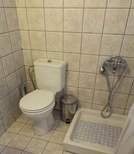 een badkamer met een wit toilet en een douche bij The Carob Tree Cottage in Kambánion