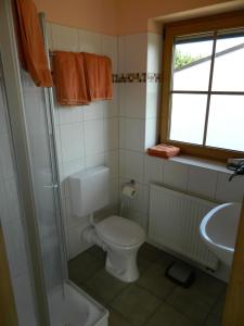 a bathroom with a toilet and a sink at Gästehaus Borniger in Gau-Weinheim