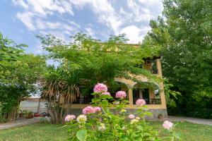 Fotografie z fotogalerie ubytování Villa Litsa v destinaci Ermones