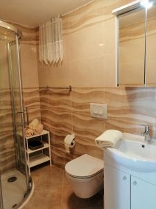 a bathroom with a toilet and a sink and a shower at Apartment Zarace in Zarače